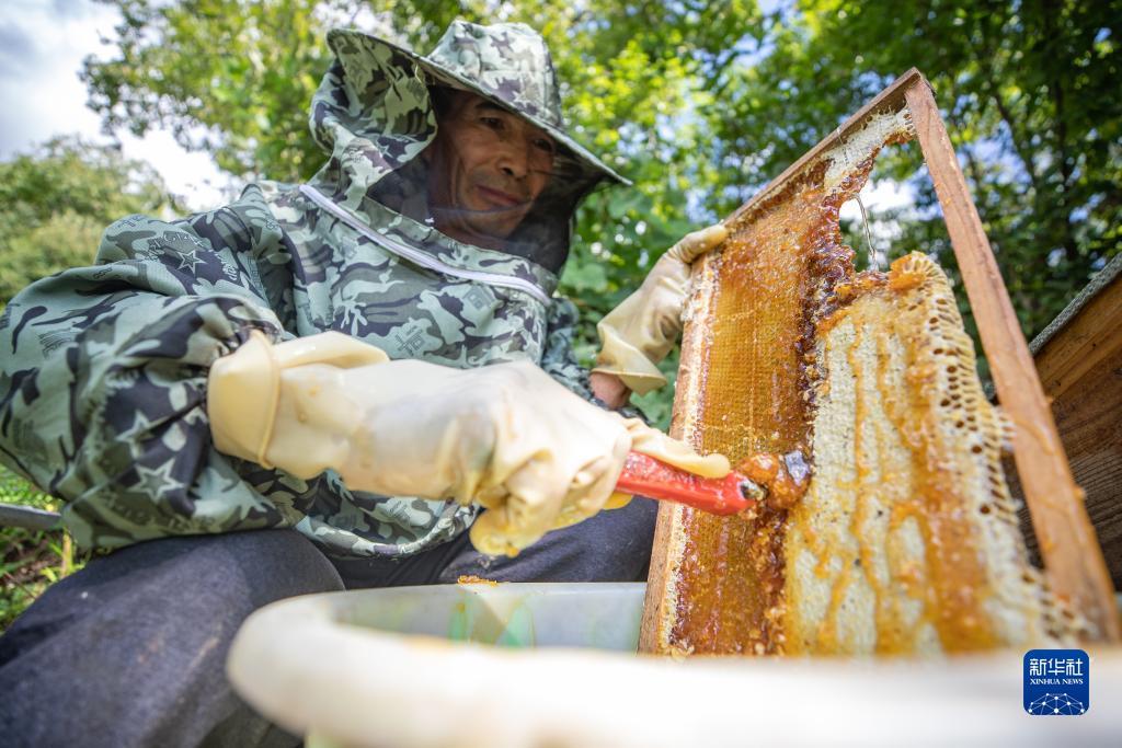 捕鱼游戏单机版